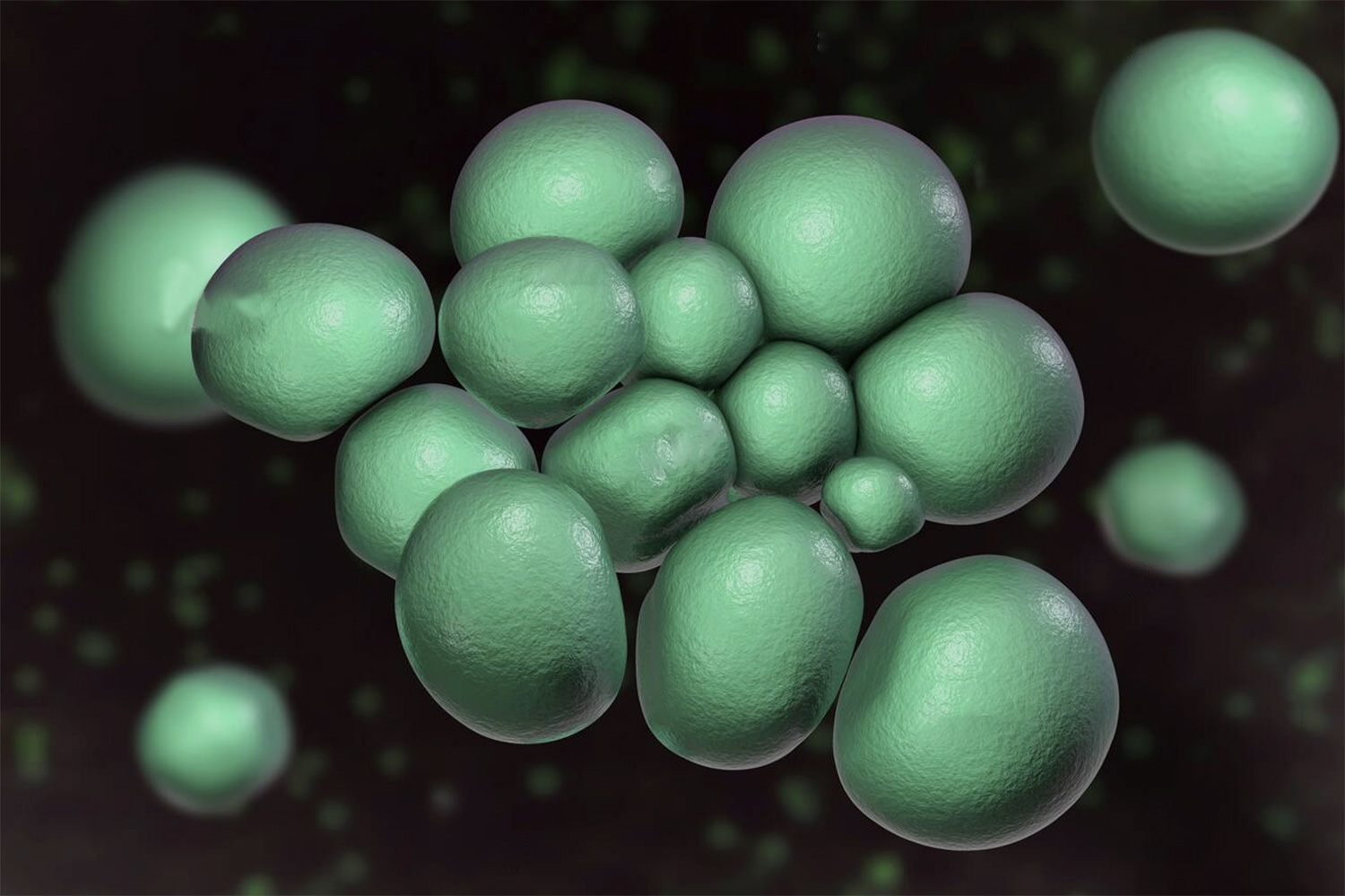 microbiota respiratorio